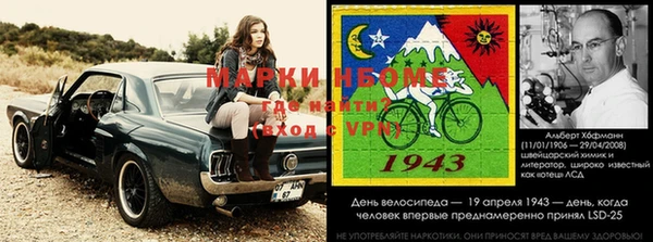 сатива Алексин