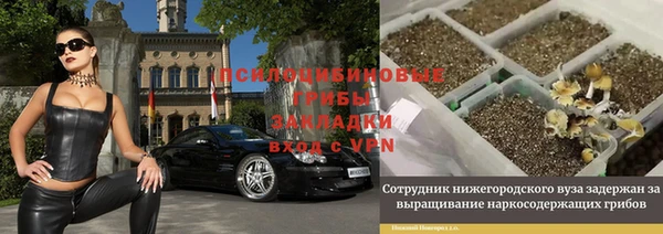 крисы Алексеевка