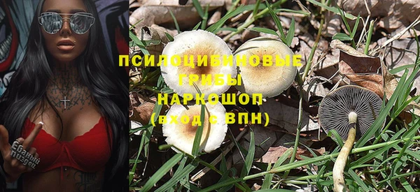 крисы Алексеевка