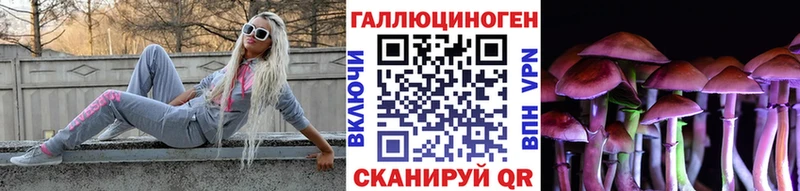 Псилоцибиновые грибы прущие грибы  Муром 